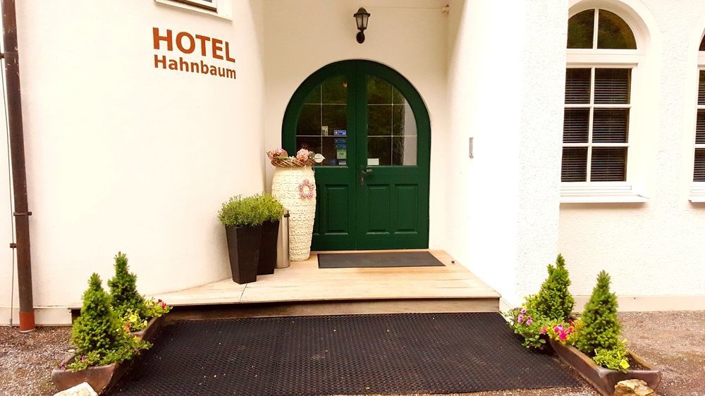 Hotel Hahnbaum Sankt Johann im Pongau Exteriér fotografie